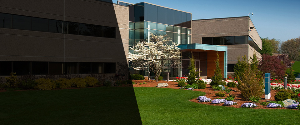 Canterbury Landscapers